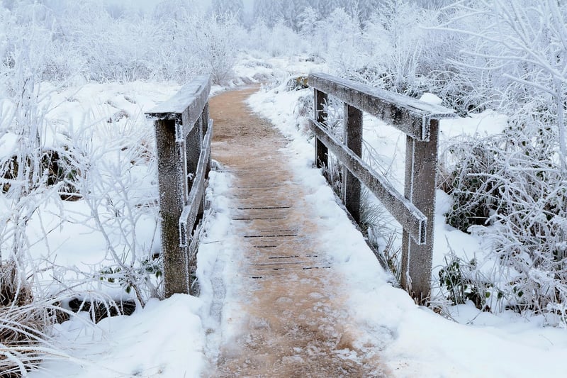 Elf Pathway Ideas